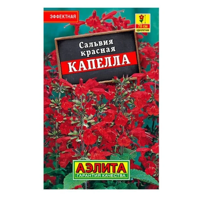 Семена цветов Сальвия красная Капелла 0,1г Лидер