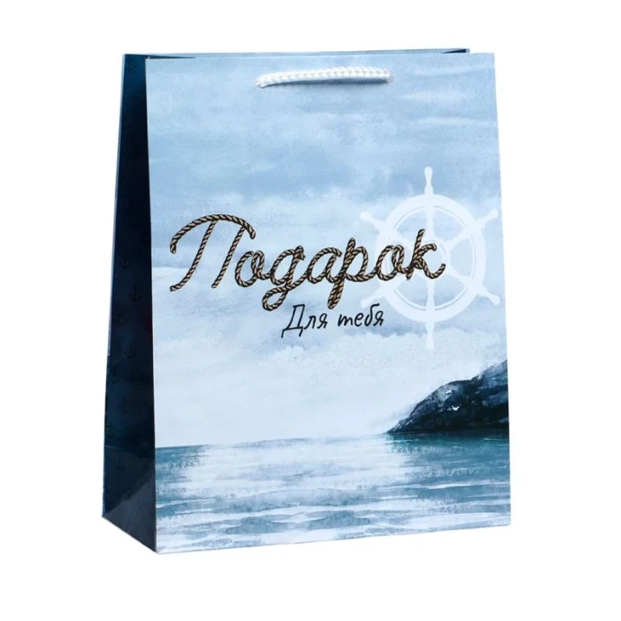 Пакет бумажный 21*25*8см Present for you (1/350)